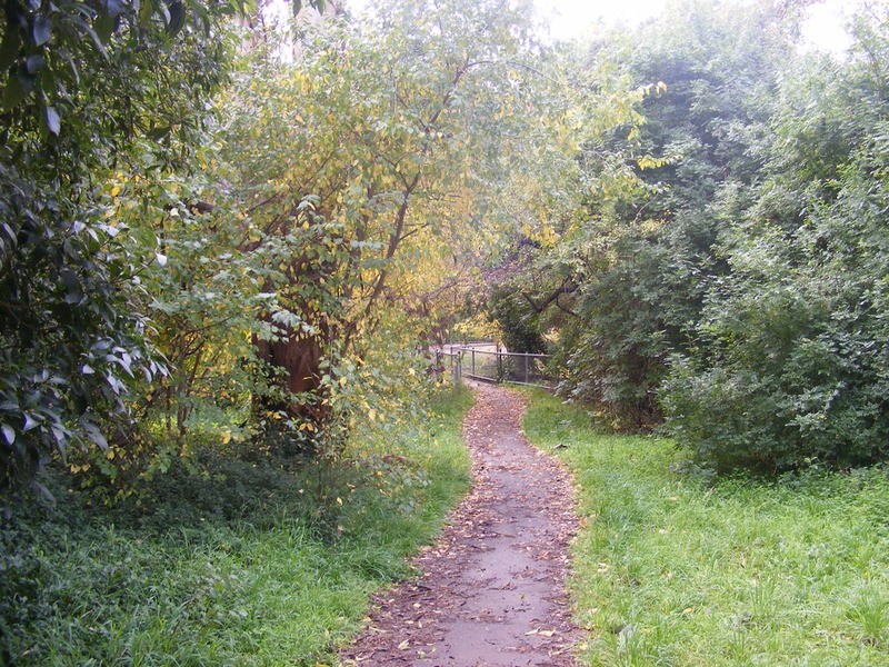 4 Batley Avenue, Hawthorndene SA 5051