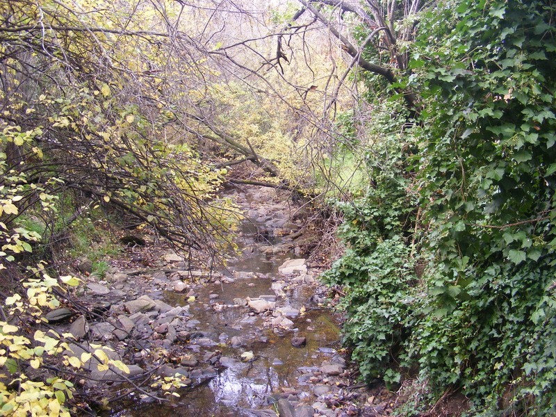 4 Batley Avenue, Hawthorndene SA 5051