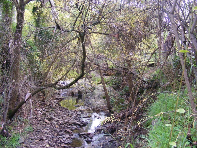 4 Batley Avenue, Hawthorndene SA 5051