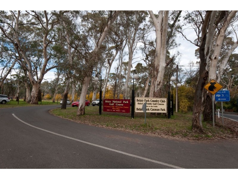 6 Lindsay Terrace, Belair SA 5052