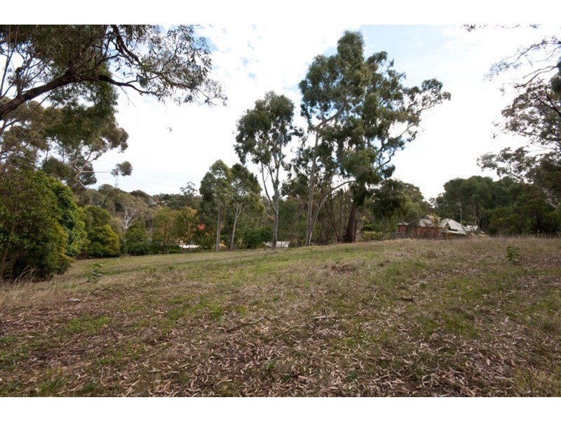 6 Lindsay Terrace, Belair SA 5052