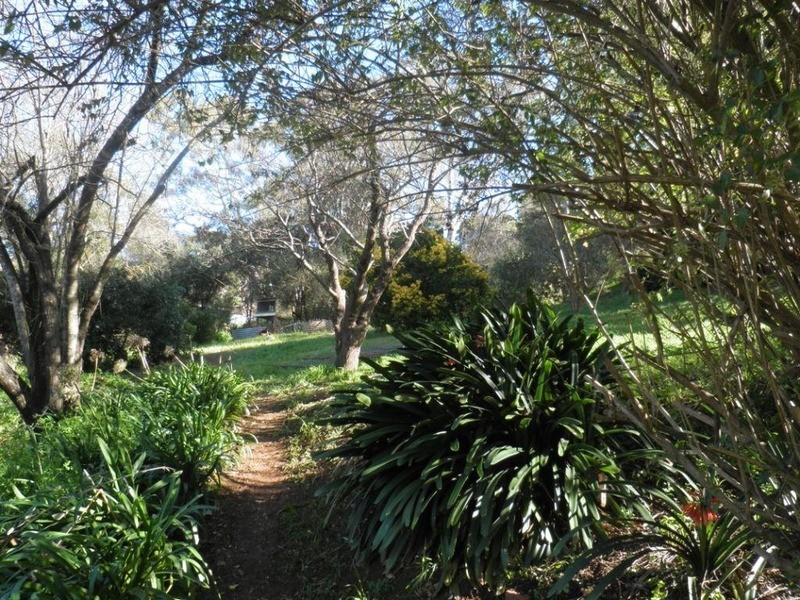 Lot 25, 64 Winns Road, Coromandel Valley SA 5051