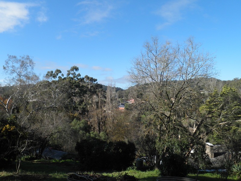 Lot 25, 64 Winns Road, Coromandel Valley SA 5051