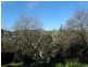 Lot 25, 64 Winns Road, Coromandel Valley SA 5051
