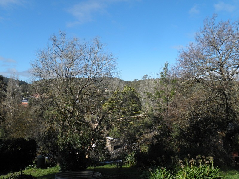 Lot 25, 64 Winns Road, Coromandel Valley SA 5051