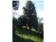 Lot 25, 64 Winns Road, Coromandel Valley SA 5051