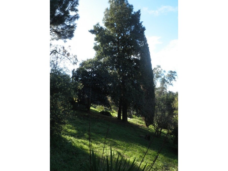 Lot 25, 64 Winns Road, Coromandel Valley SA 5051