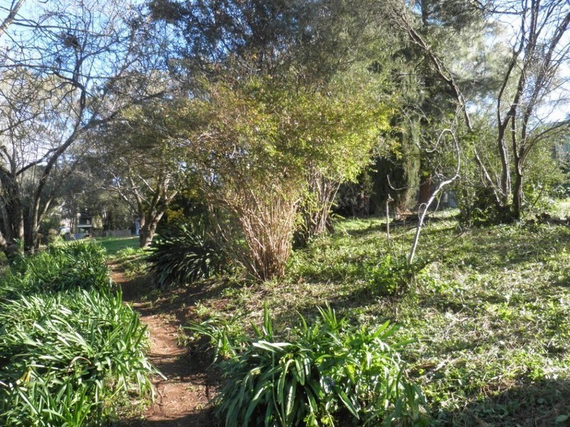 Lot 25, 64 Winns Road, Coromandel Valley SA 5051