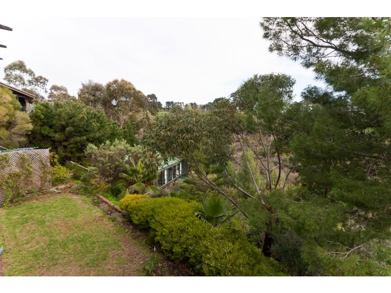 12 Salvador Street, Flagstaff Hill SA 5159