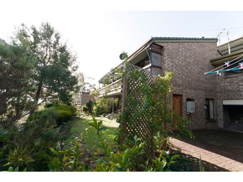 12 Salvador Street, Flagstaff Hill SA 5159