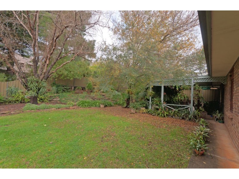 13 McKenzie Street, Coromandel Valley SA 5051