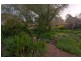 13 McKenzie Street, Coromandel Valley SA 5051