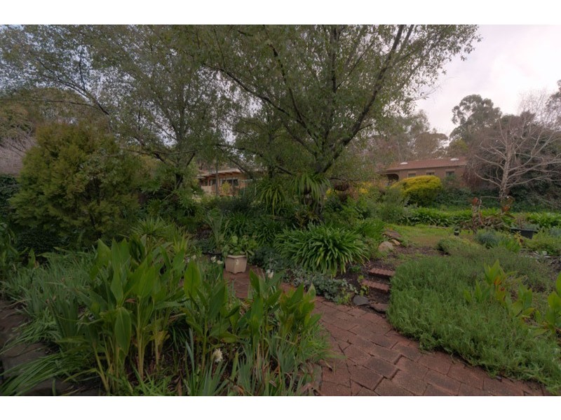 13 McKenzie Street, Coromandel Valley SA 5051