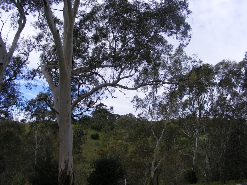 Lt 151/496a Main Road, Coromandel Valley SA 5051