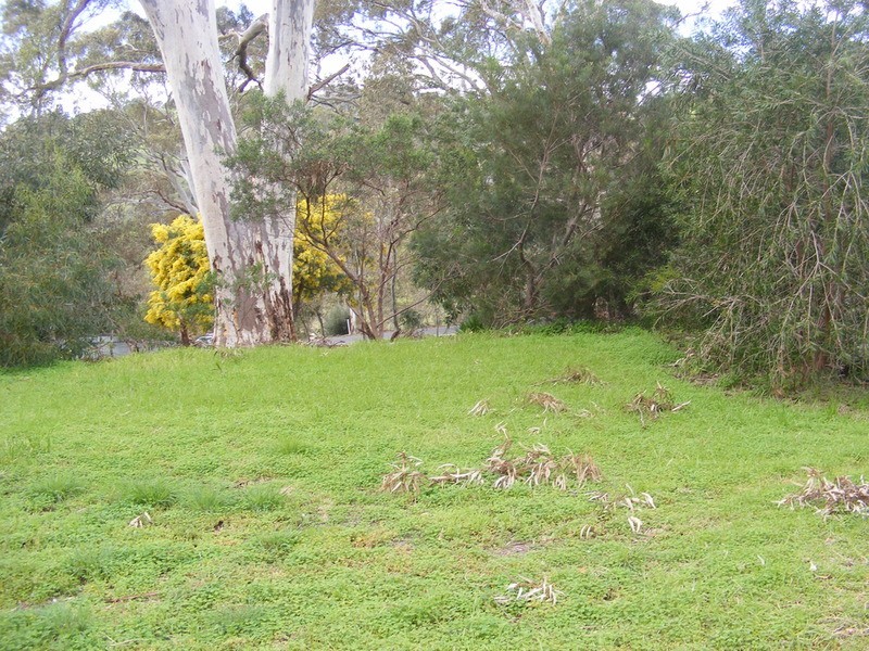 Lt 151/496a Main Road, Coromandel Valley SA 5051