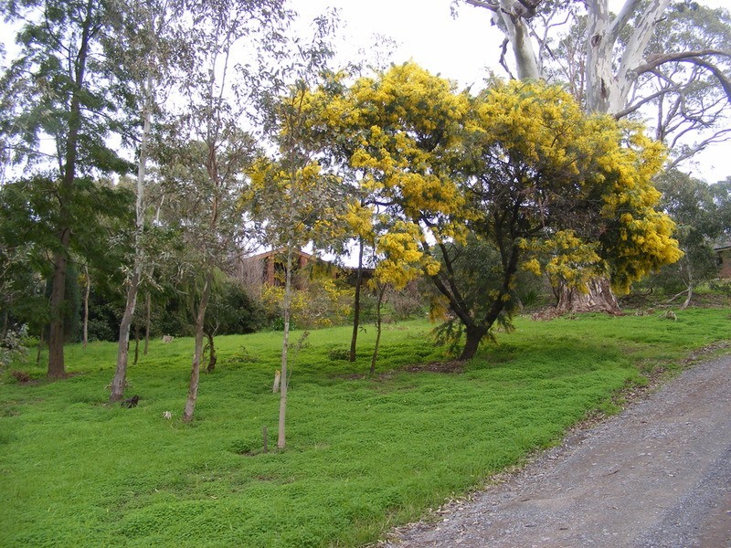 Lt 151/496a Main Road, Coromandel Valley SA 5051