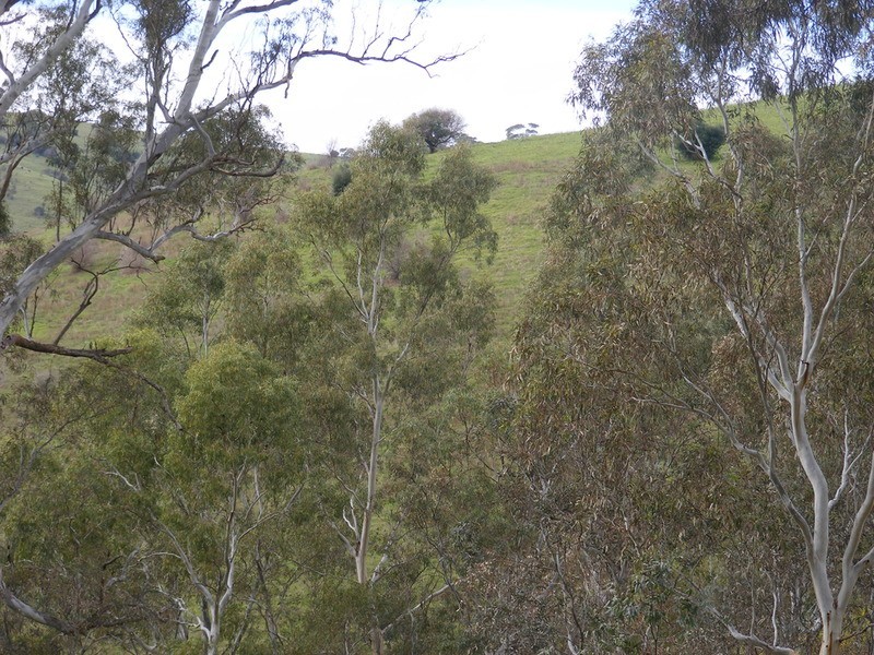 Lt 151/496a Main Road, Coromandel Valley SA 5051