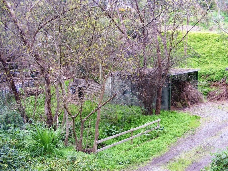 29 Gum Grove, Belair SA 5052