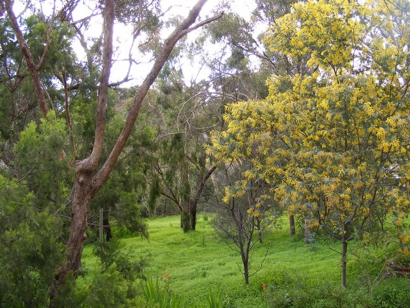 24 Edward Street, Blackwood SA 5051