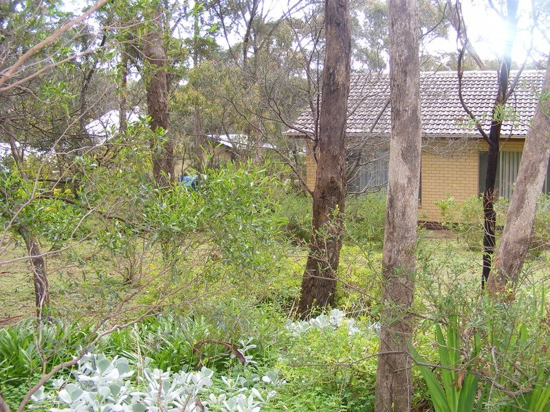 24 Edward Street, Blackwood SA 5051