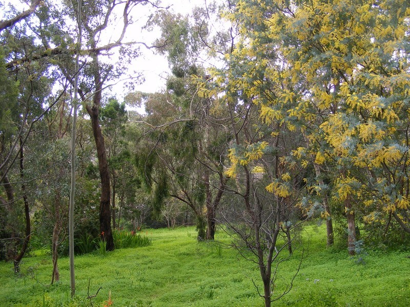 24 Edward Street, Blackwood SA 5051