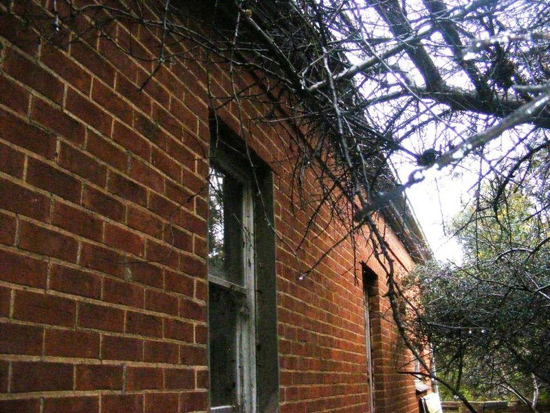 14 Arnold Street, Parkside SA 5063