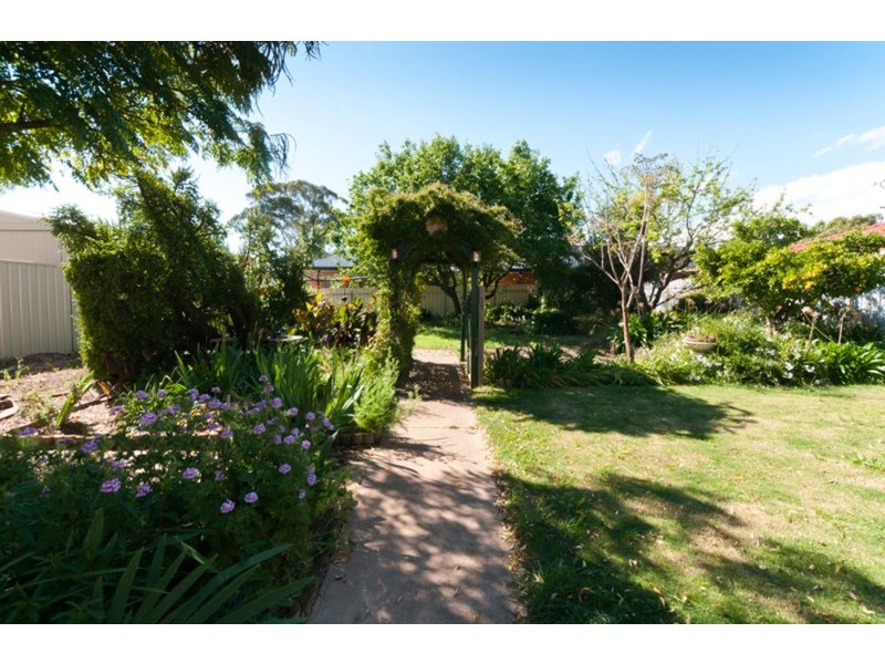 17 Walsh Avenue, St Marys SA 5042