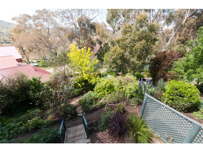 29 Winns Road, Coromandel Valley SA 5051