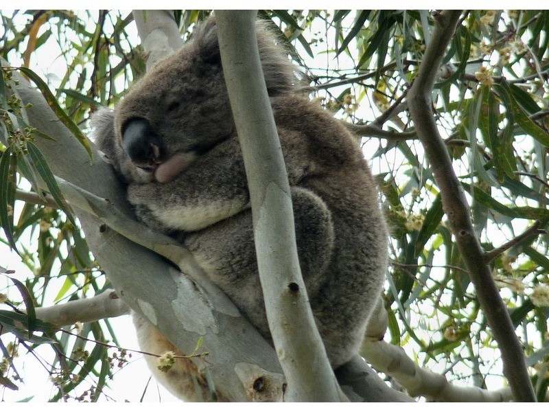 327 Ackland Hill Road, Coromandel East SA 5157