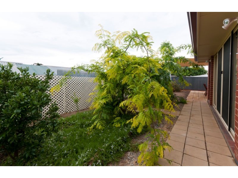 15A Fourth Avenue, Ascot Park SA 5043