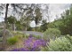 12 Willora Road, Eden Hills SA 5050