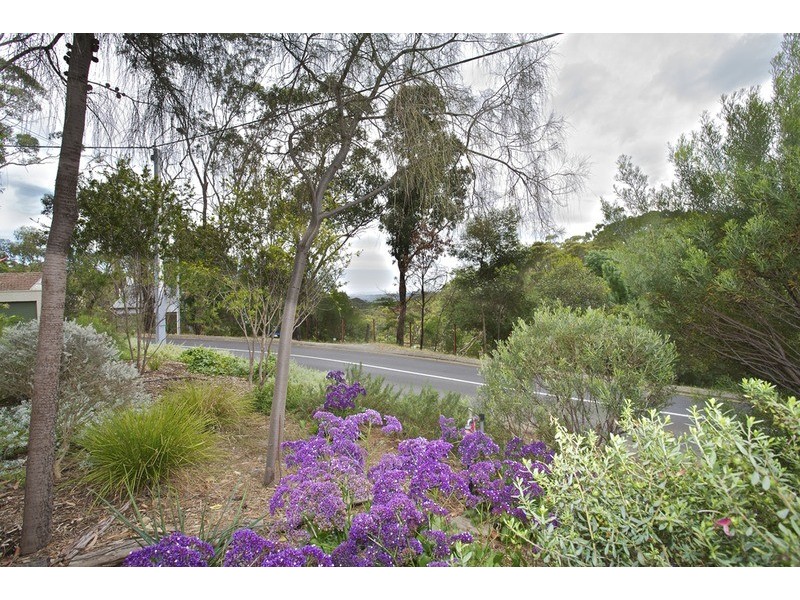 12 Willora Road, Eden Hills SA 5050