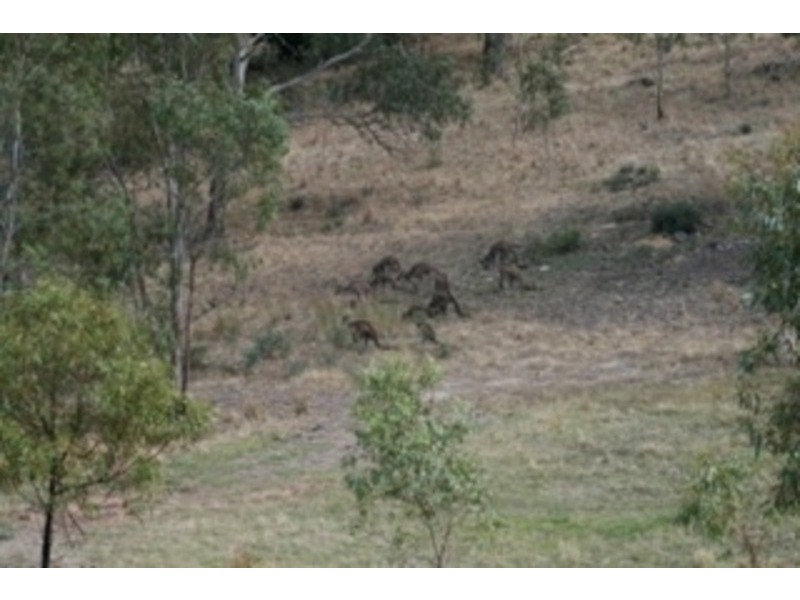 3 Holly Hock Court, Craigburn Farm SA 5051