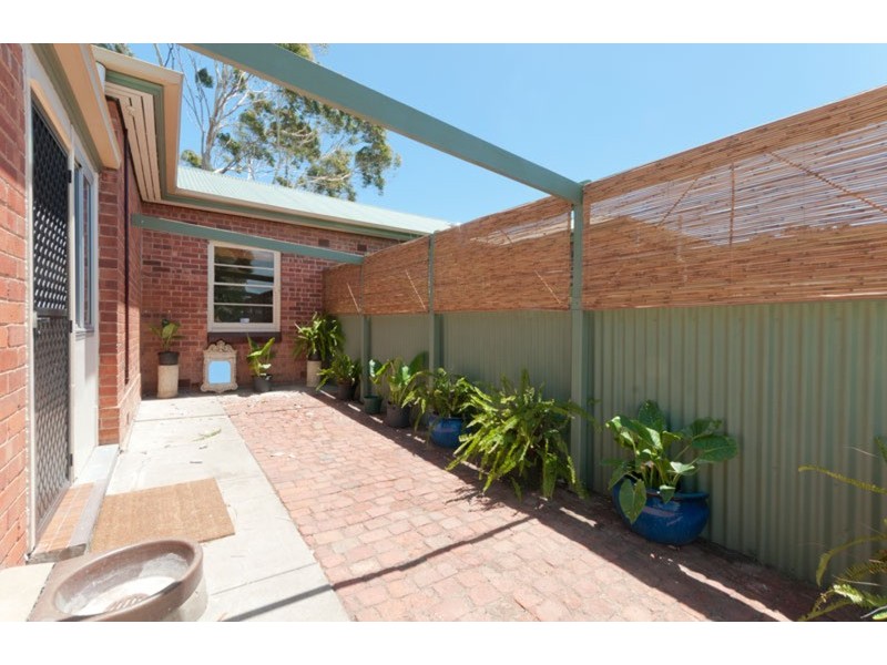 26 Park Terrace, Plympton Park SA 5038