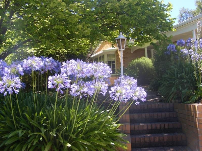 53 Garnet Avenue, Blackwood SA 5051