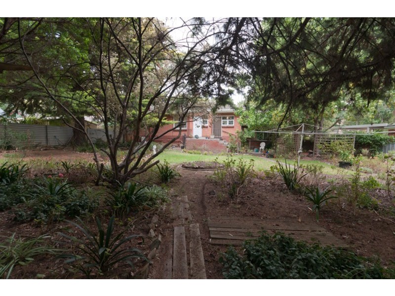 6 Woodlark Grove, Glenalta SA 5052