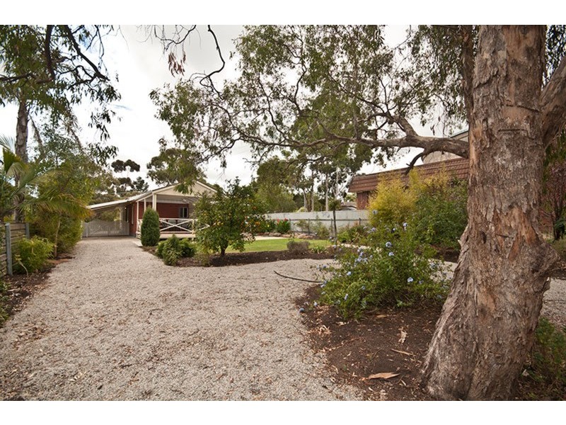 19 Young Street, Blackwood SA 5051