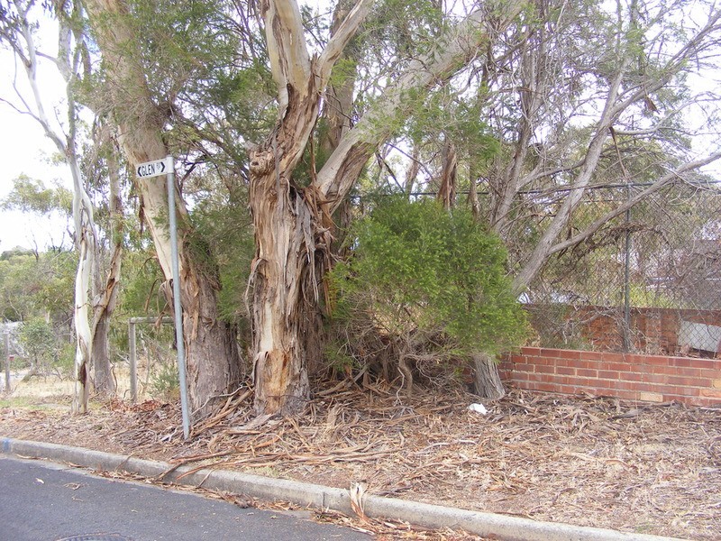 1 Mary Street, Eden Hills SA 5050