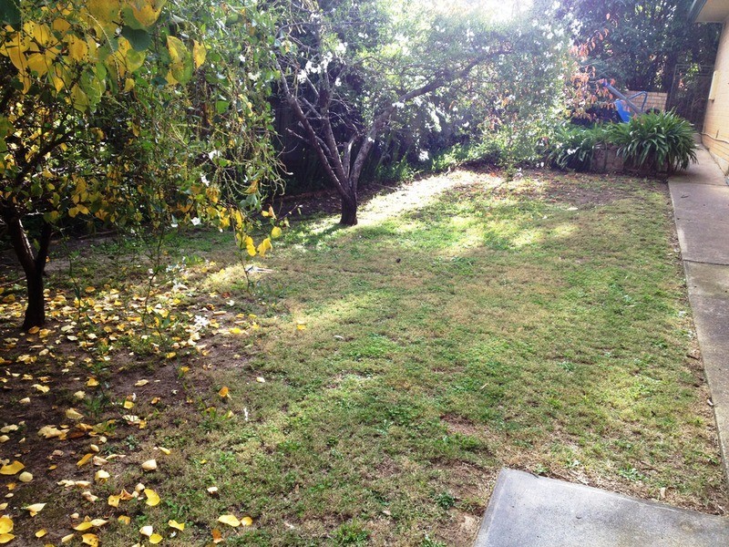 12 Corella Avenue, Glenalta SA 5052