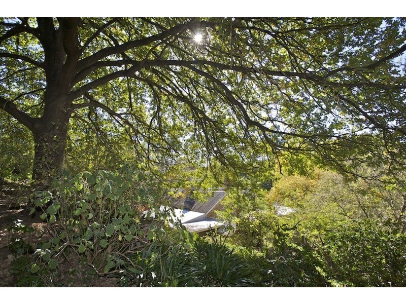 66 Winns Road, Coromandel Valley SA 5051