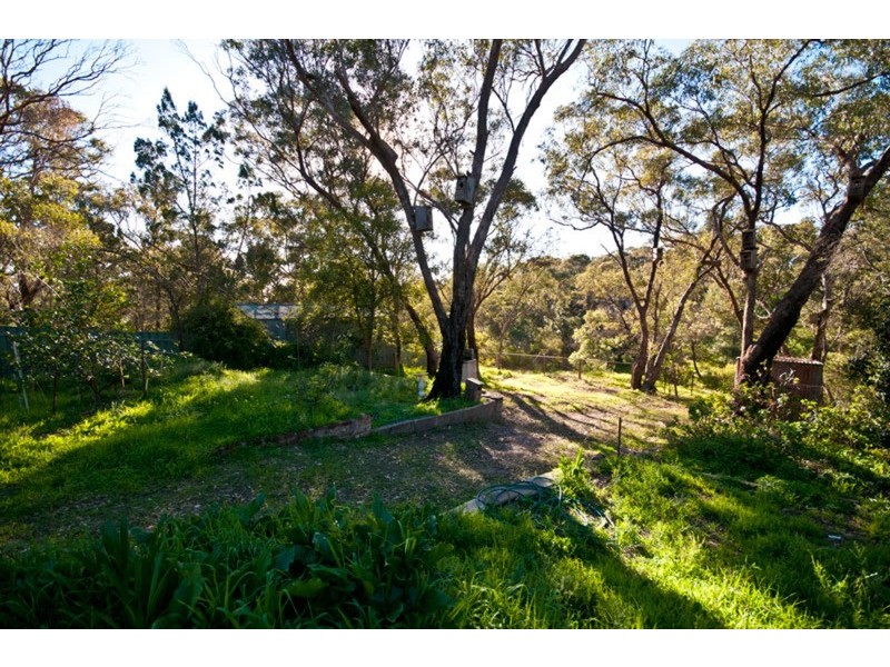 50 Wilpena Street, Eden Hills SA 5050