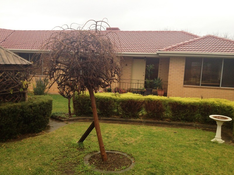 20 Clearview Terrace, Flagstaff Hill SA 5159