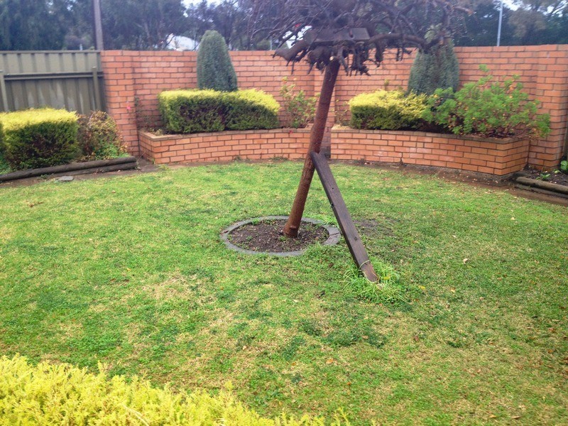 20 Clearview Terrace, Flagstaff Hill SA 5159