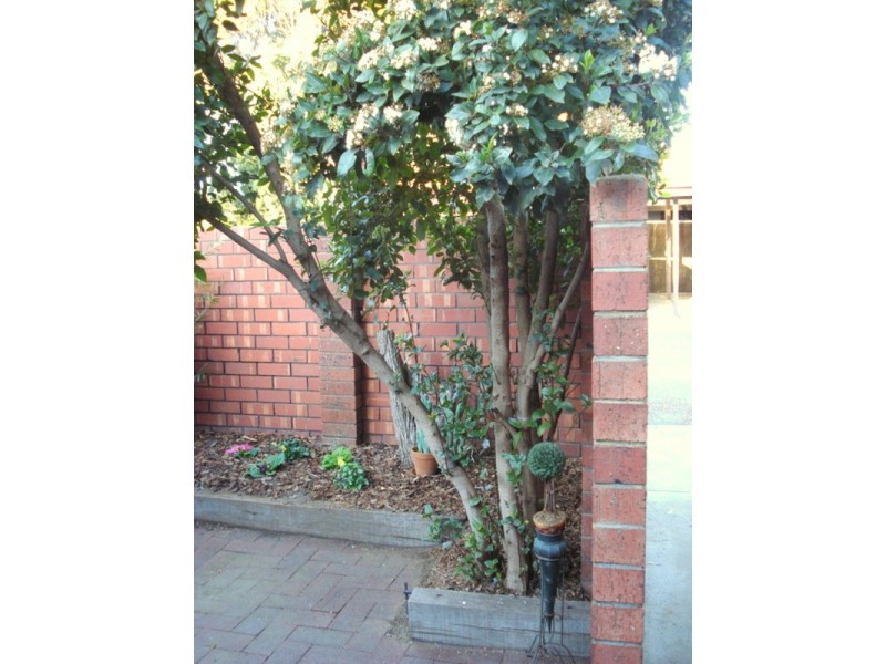 10/96 Hampstead  Road, Broadview SA 5083