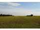 Lot 3 Bowering Hill Road, Port Willunga SA 5173