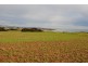 Lot 3 Bowering Hill Road, Port Willunga SA 5173