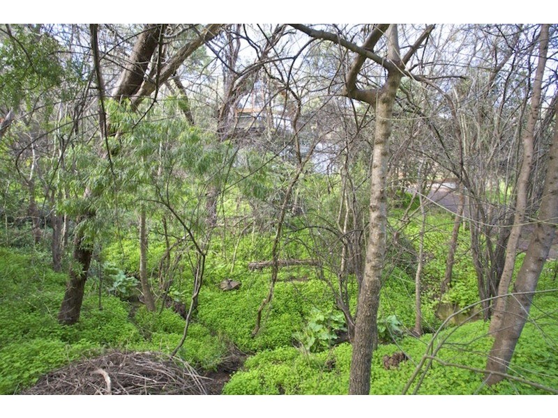 52 Gum Grove, Belair SA 5052