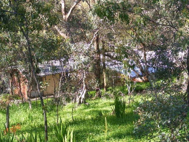 14 Bowman Avenue, Belair SA 5052