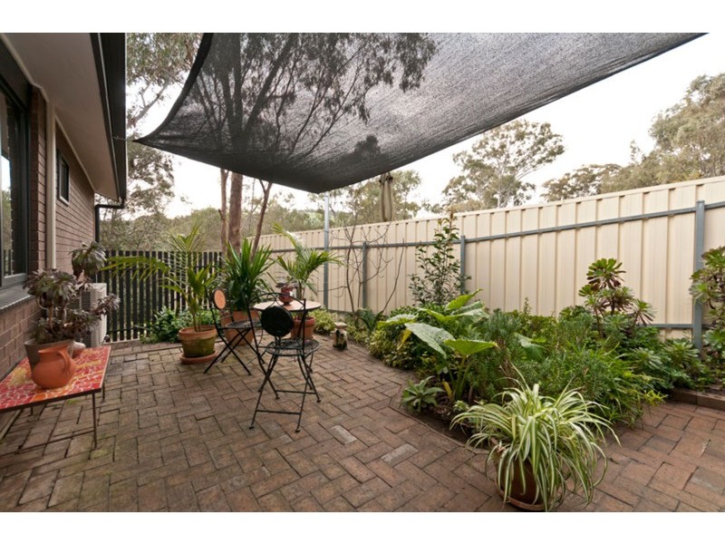 35 Shannon Crescent, Coromandel Valley SA 5051