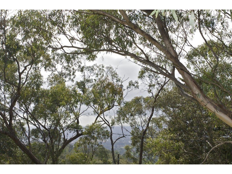 14a Old Belair  Road, Belair SA 5052